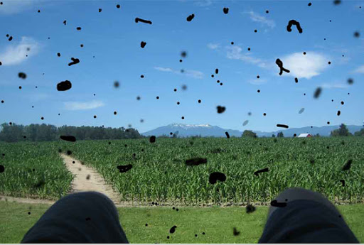 Đục dịch kính là gì? Nguyên nhân, triệu chứng và cách điều trị hiệu quả